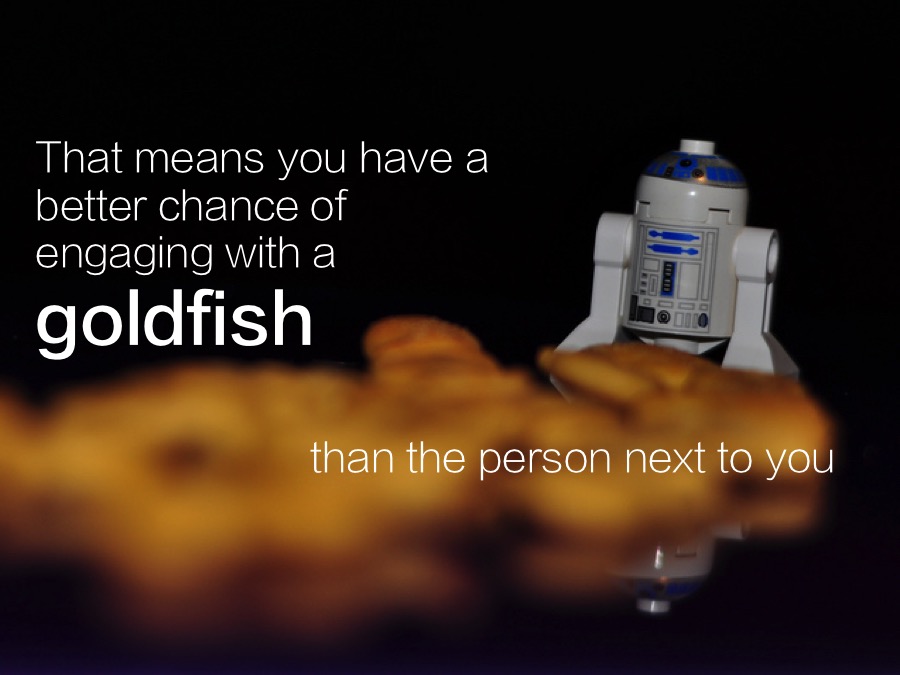 Goldfish